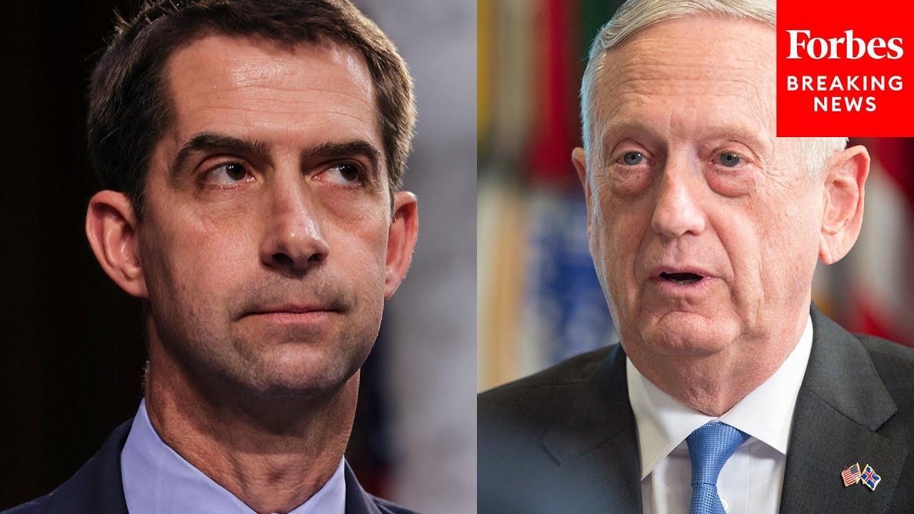 ‘I Voted For Secretary Mattis… I Regret That’: Tom Cotton Raises Concern About Military Leadership