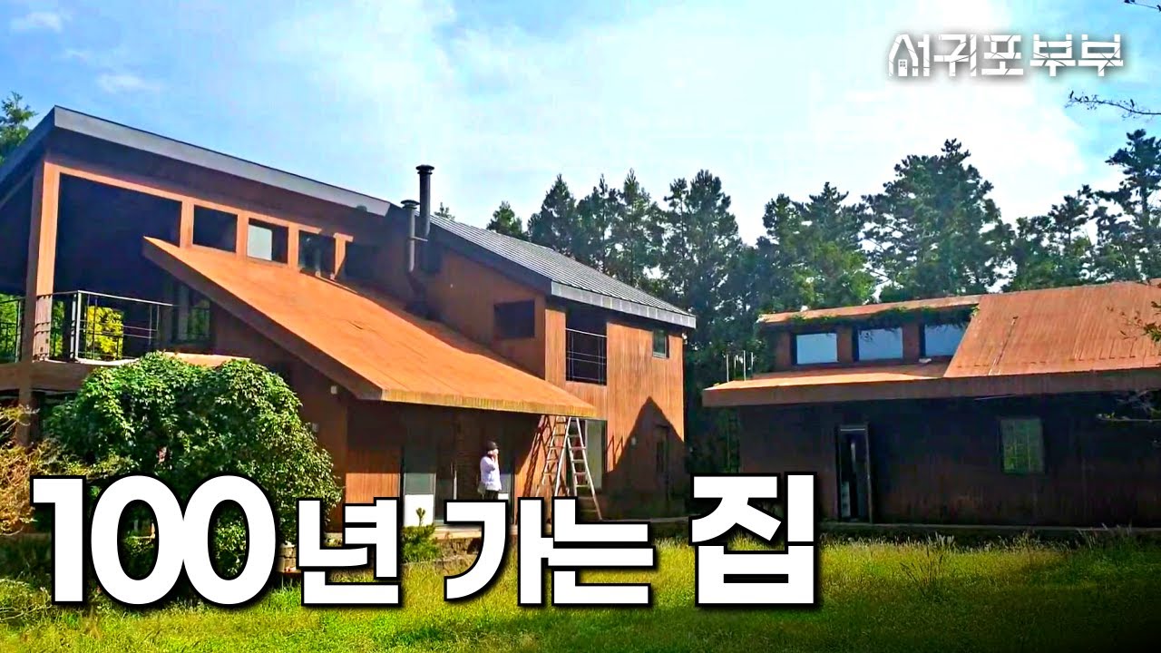 미국에는 있지만 우리나라에는 없는 것