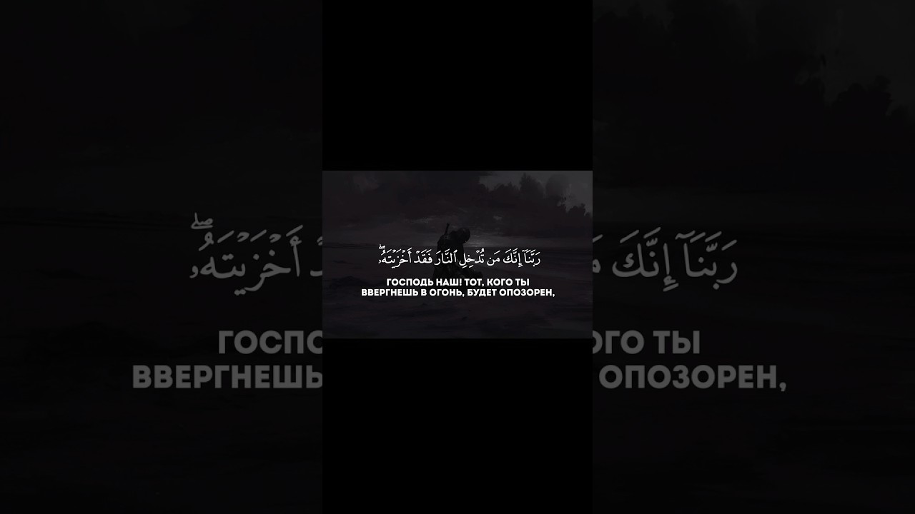 Сура Алю-Имран Аяты 192-194 Чтец Махди шишани