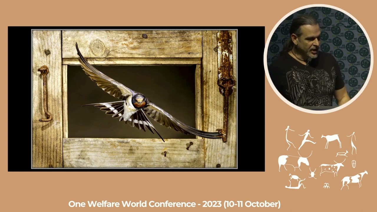 Session 4 One Welfare and Photography, Is there a cost to amazing photographs?