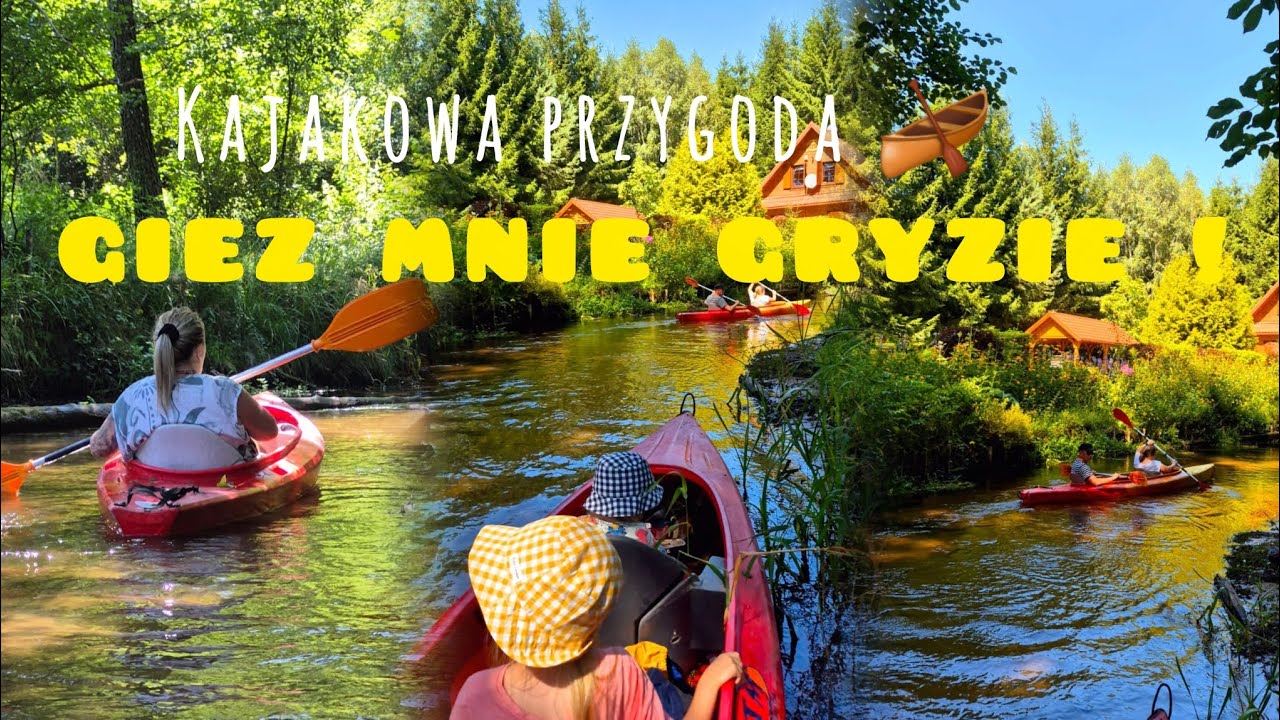 Kajakowe Szumy nad Tanwią 🛶