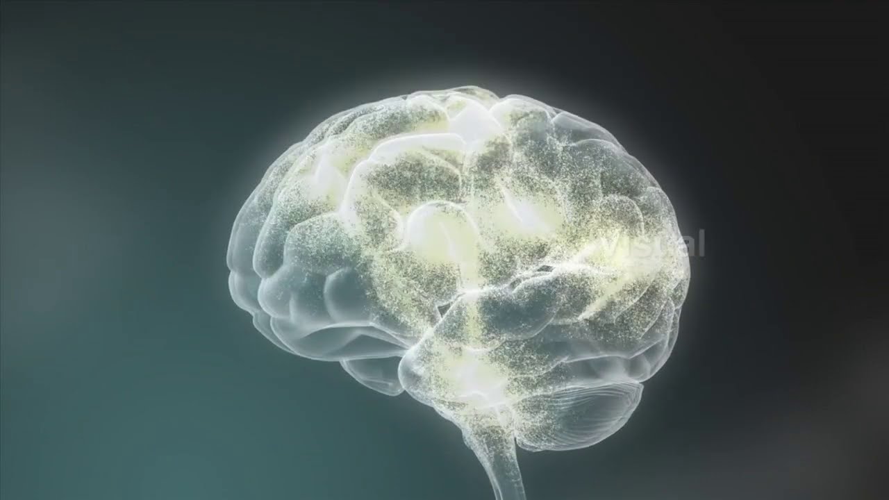 Introduction to cognitive modeling