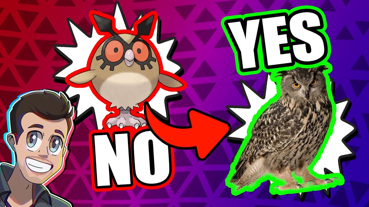 Pokemon Bird Quiz But Questions Are About REAL BIRDS (ft. @DeliciousJames)