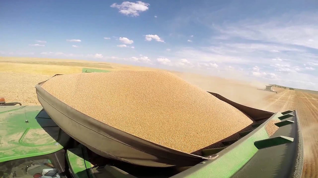 JKD Harvest 2014