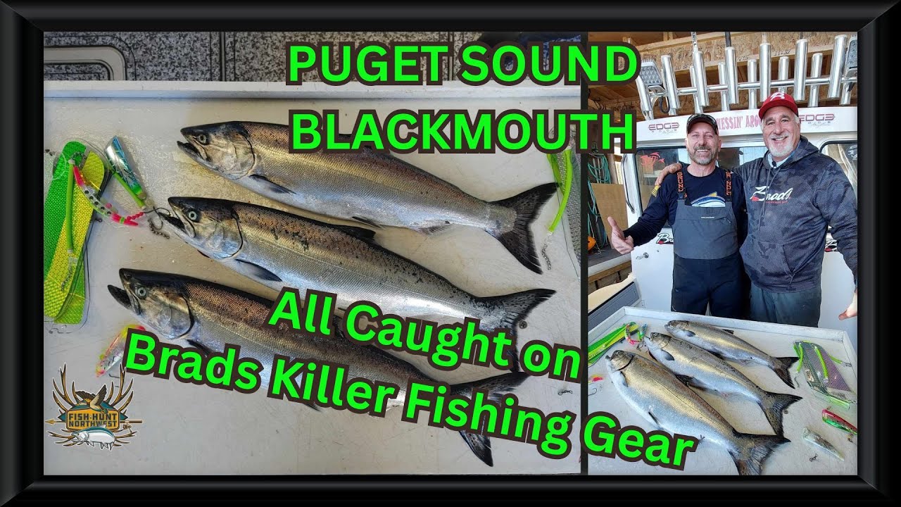 Puget Sound Area 10 Blackmouth, All Brads Killer Fishing Gear 