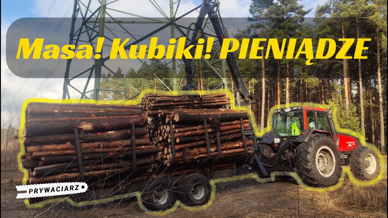 🌲Szybka robota🌲Oczami Zrywkarza 1🌲