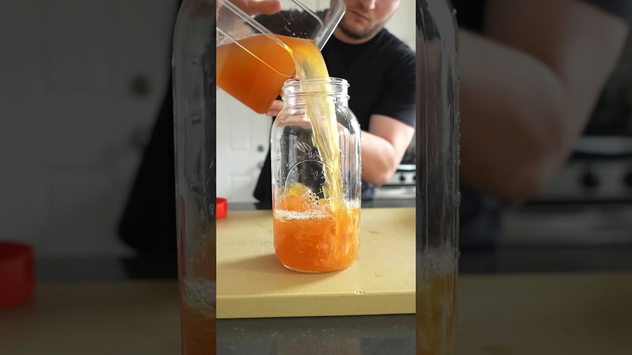 The Only Drink You'll Ever Need (It's Fermented)