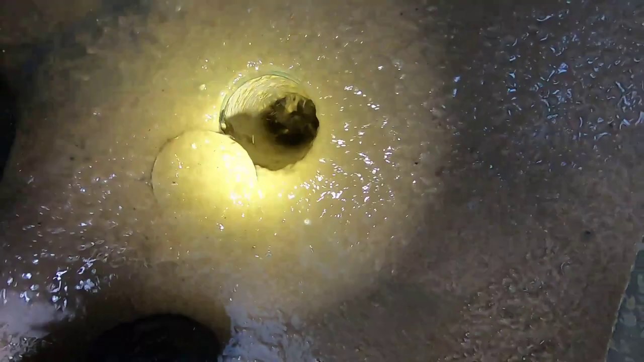 Blocked Drain 55