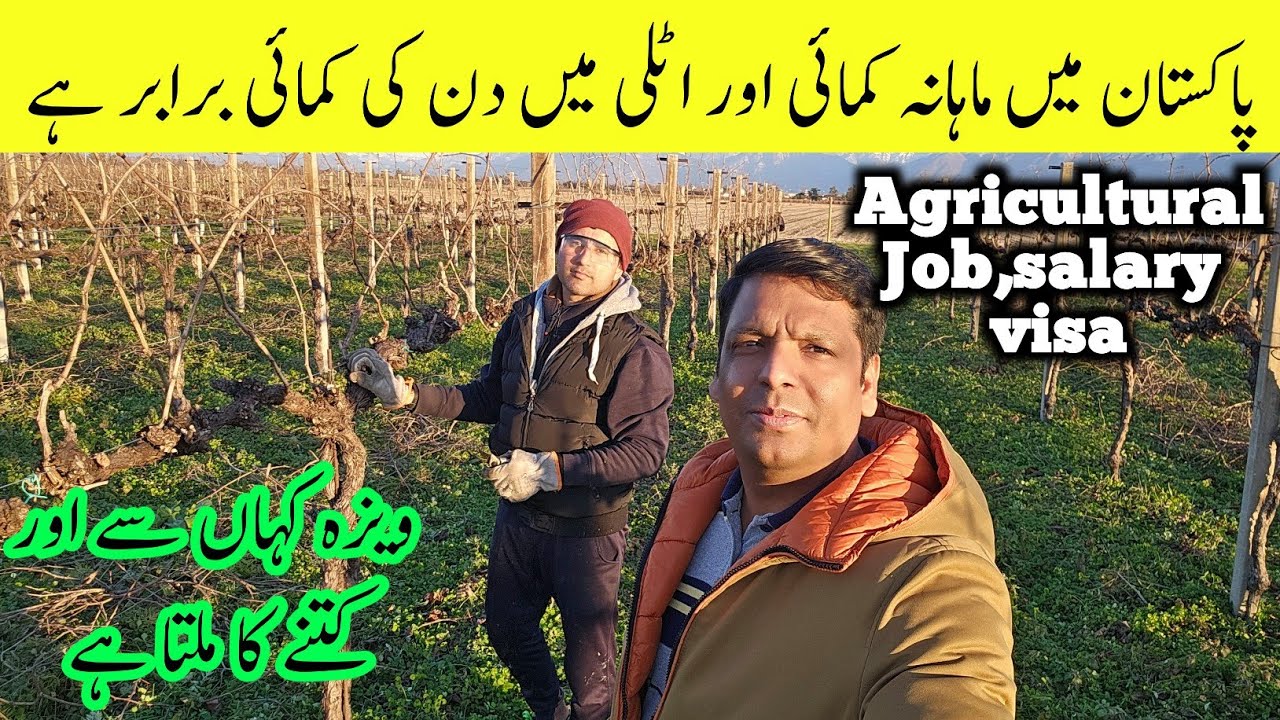 Agricultural Job,salary, and visa process in italy | Seasonal work visa jobs in italy