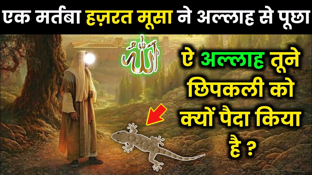 ए अल्लाह तूने छिपकली को क्यों पैदा किया हैं ? Allah Ne Chipkali Ko Kyu Paida Kiya Hai ? Noore hadees