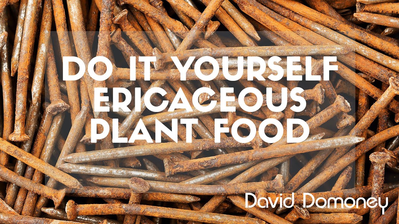 DIY Ericaceous Food: David Domoney's Gardening Quick Tips