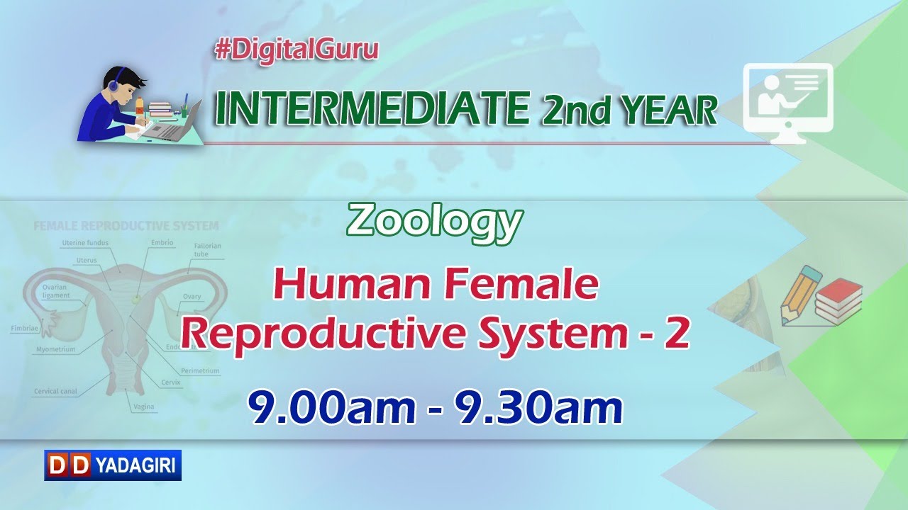 2nd Inter Zoology || Human Female Reproductive System-2 || Intermediate Education || Oct 08, 2020