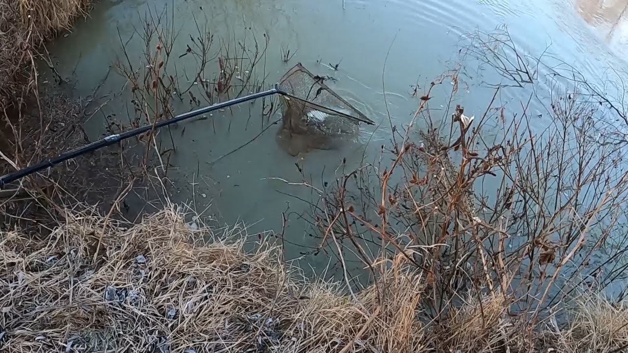 Expediție la cort cu prietenii de la Slava Cercheză pe Canalul 22 🚤🌞🦐