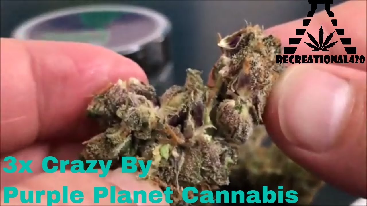 Recreational Cannabis Review of 3X Crazy Flower By Purple Planet Cannabis