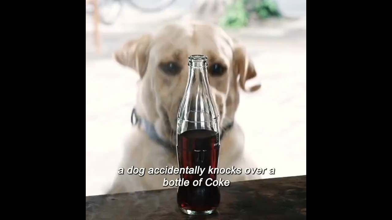 The Dog Poured Coke Into The Soup... 😱🥤