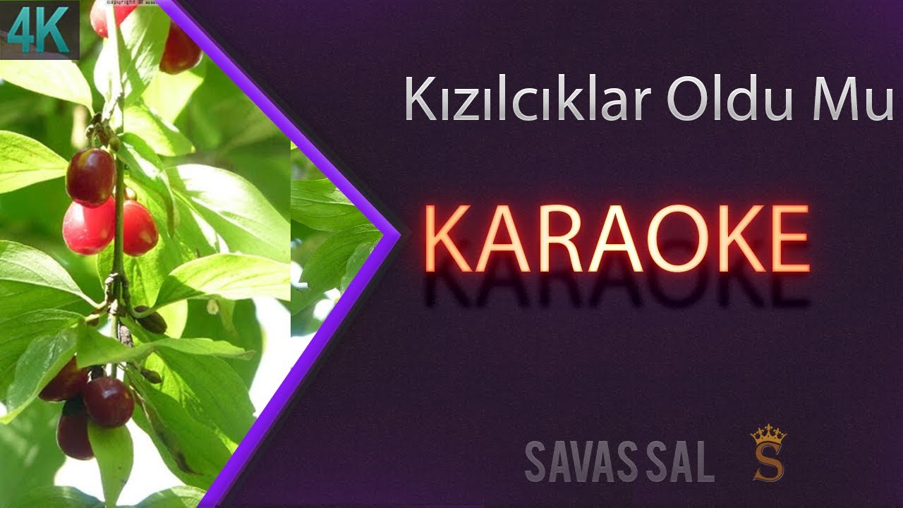 Kızılcıklar Oldu Mu Традиционная народная песня (КАРАОКЕ)
