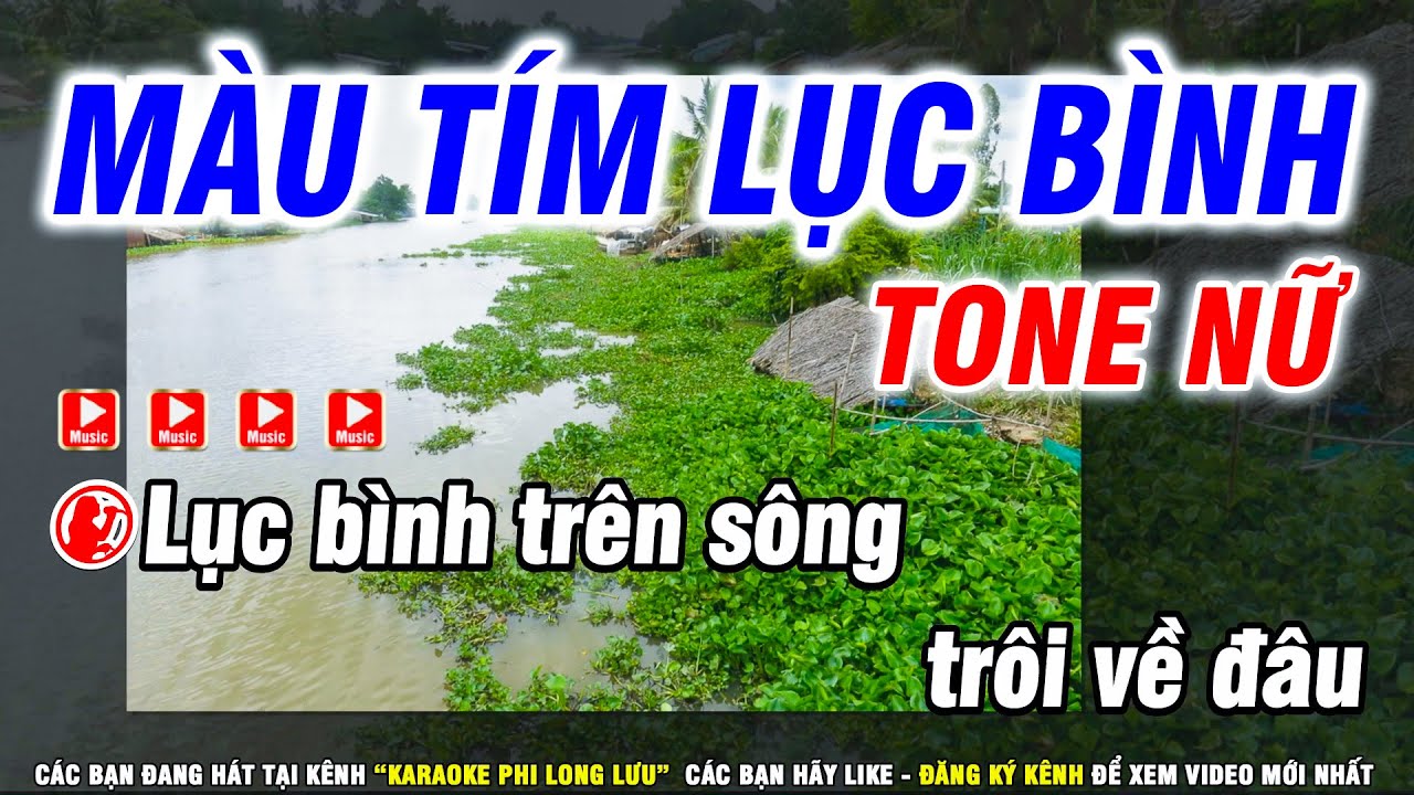 Karaoke Màu Tím Lục Bình - Nhạc Sống Tone Nữ ( Em ) Karaoke Phi Long