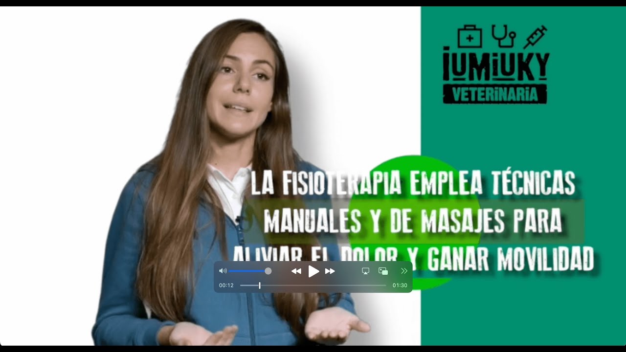 ¿Qué es la fisioterapia veterinaria?🐈 Fivet en Cuatro.