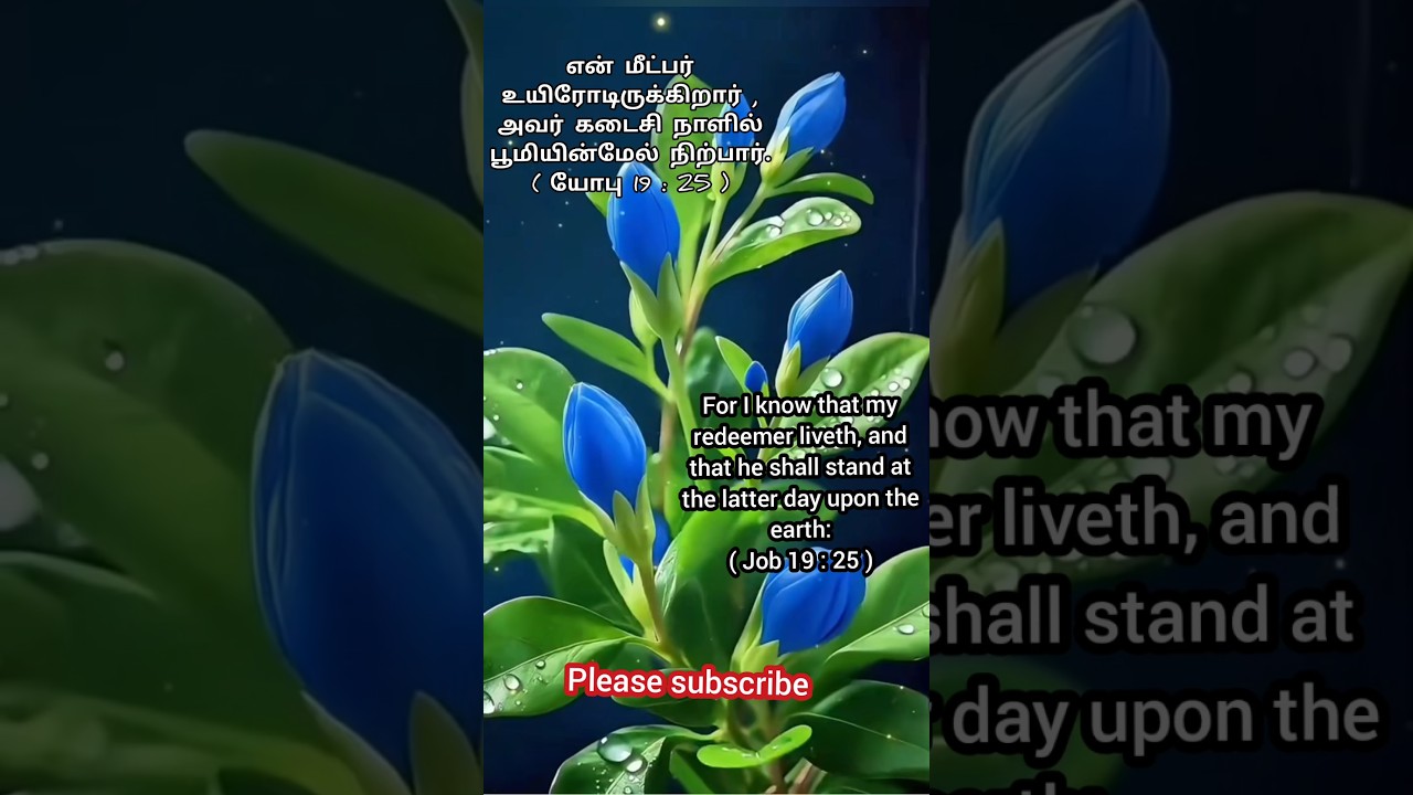 Today's blessing verse, today's bible verse, whatsapp status, morning blessing