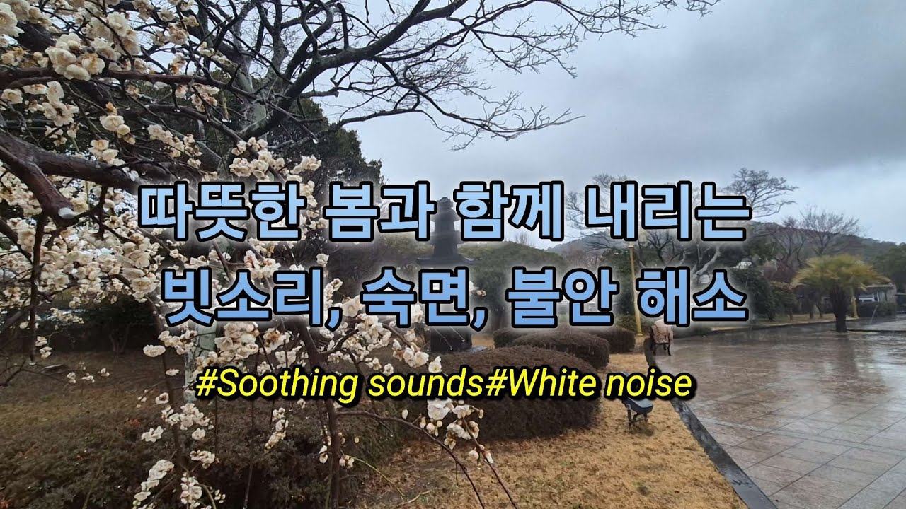 따뜻한 봄과 함께 내리는 빗소리+새소리.10분 뒤 어두운 화면으로 변함,숙면, 불안 해소, 불면증 해결