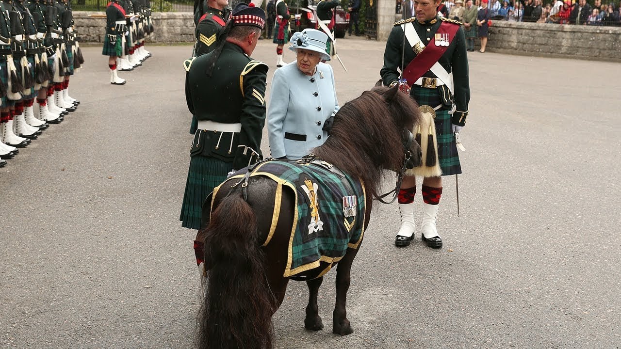 Queen reunited with cheeky Shetland pony who nibbled on her flowers