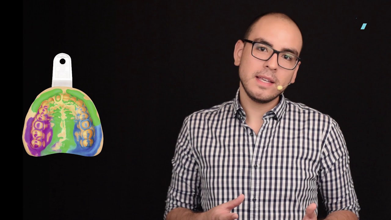 PRESIDENT The Original explained by Alberto Pereira