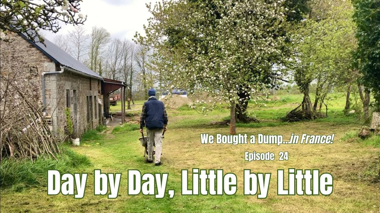 #45 Day by Day, Little by Little. We Bought a Dump...in France! Episode 24