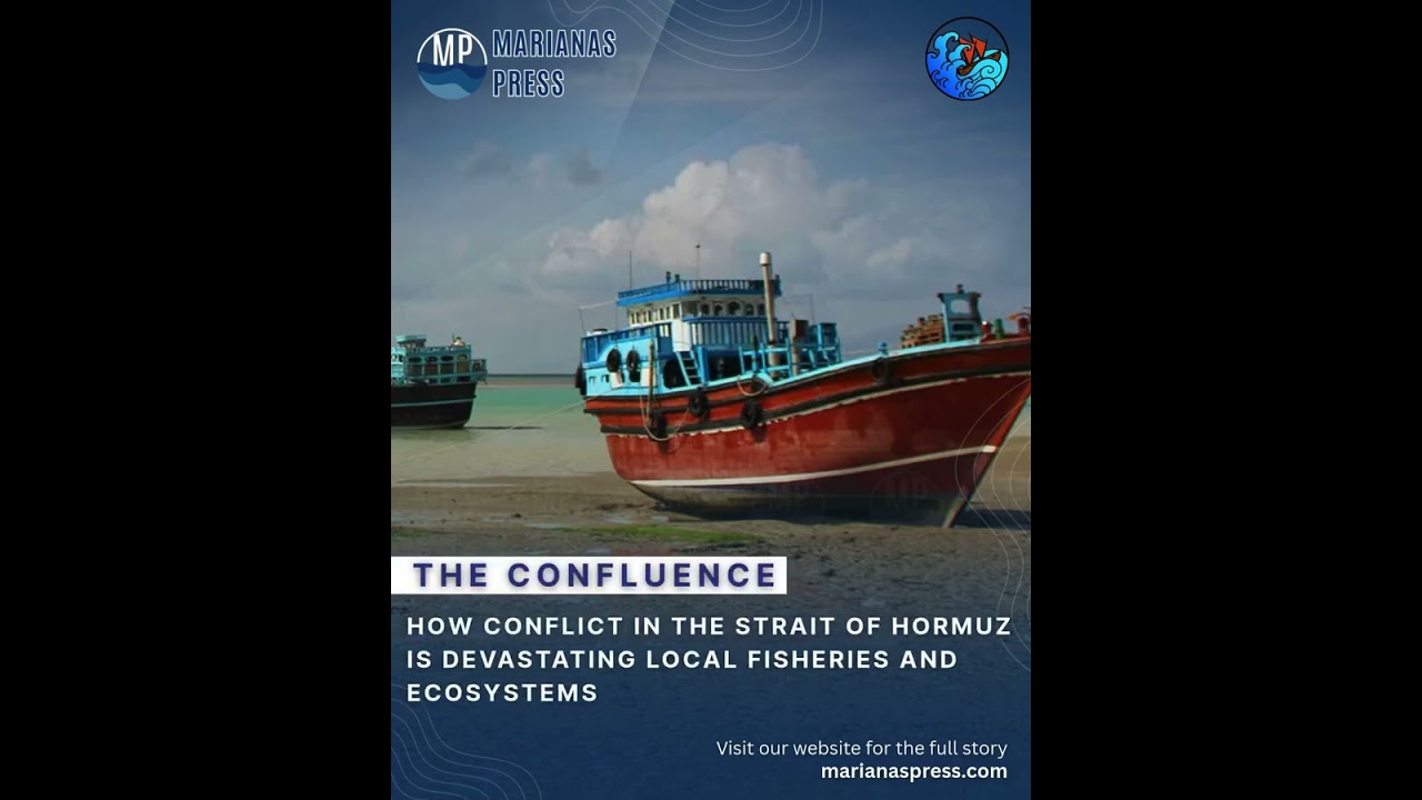 How conflict in the Strait of Hormuz is devastating local fisheries and ecosystems