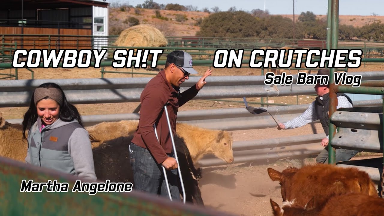 Day at the Sale Barn with Martha Angelone