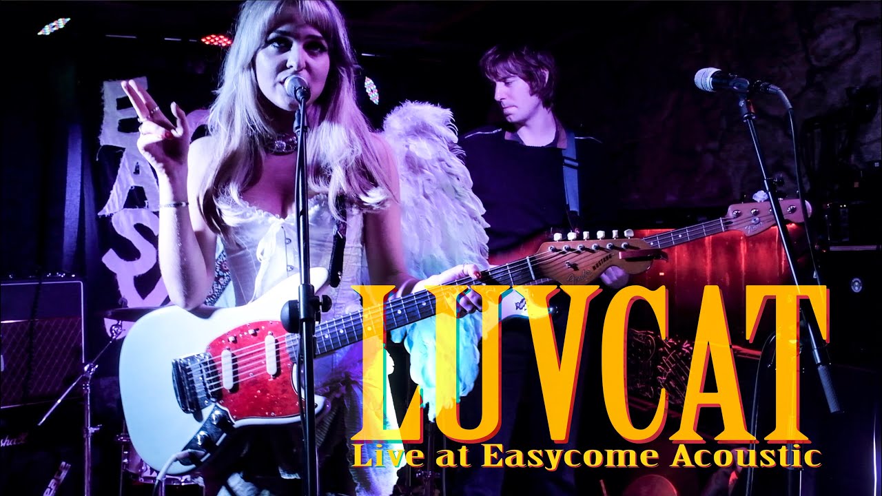 LUVCAT Live at Easycome, The Old Dispensary