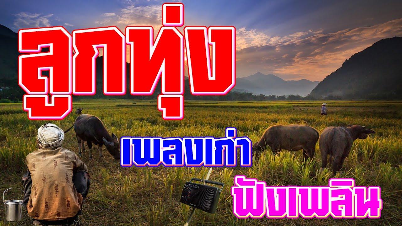 รวมเพลงลูกทุ่งเก่าฟังเพลินตลอดวัน