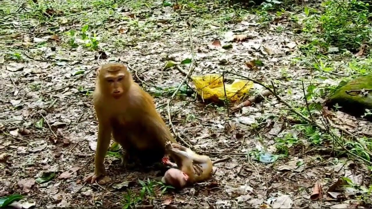 MENANGIS