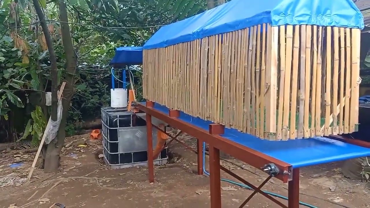 Low Cost Conveyor Belt and Biogas Digester for Poultry Farm in Infanta, Quezon, Philippines