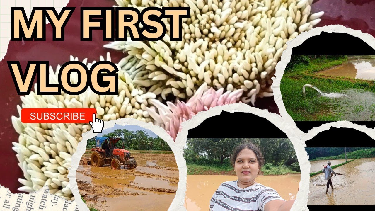 My first vlog😍Nan life du first YouTube channel☺️