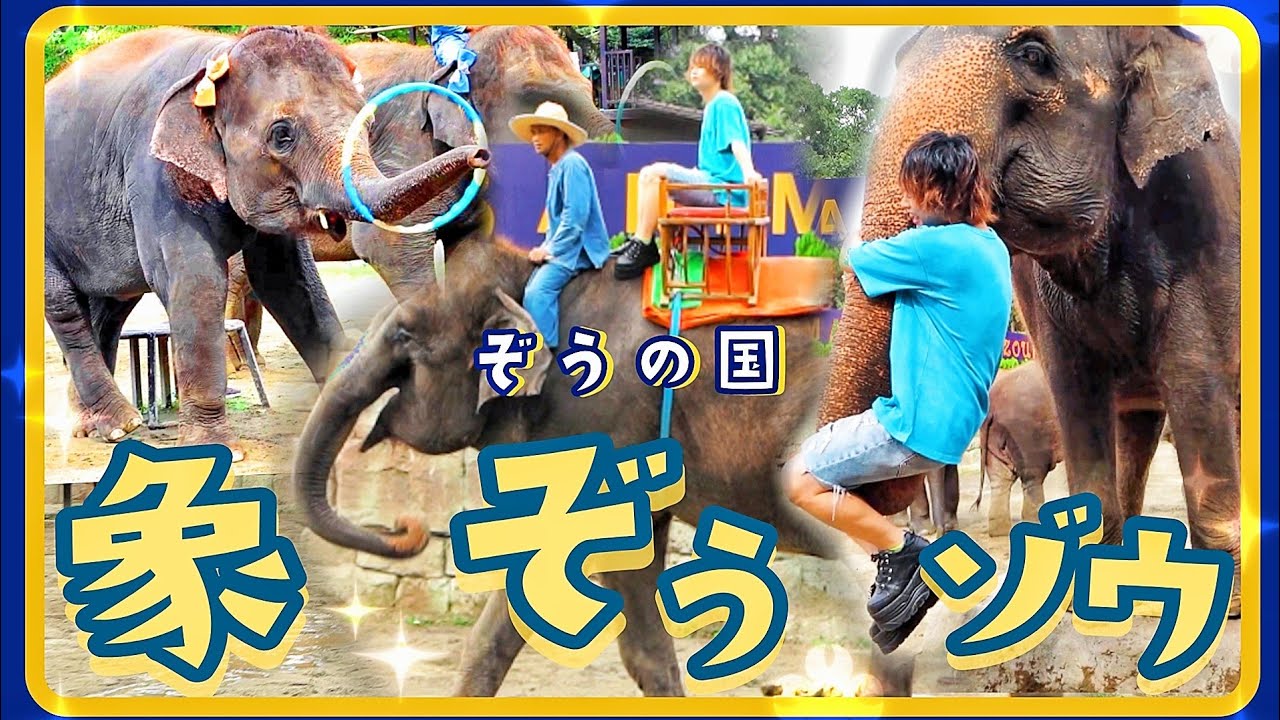 国内最多数のゾウの暮らす国がスゴすぎた…！