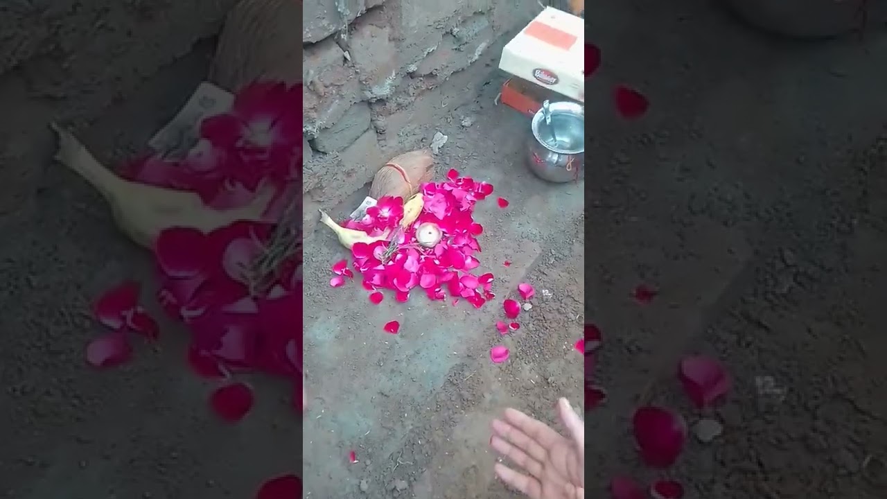 #Bhumi Pujan #Be Positive & Be Healthy. #shorts #Youtubeshorts For healthy video's follow 👇