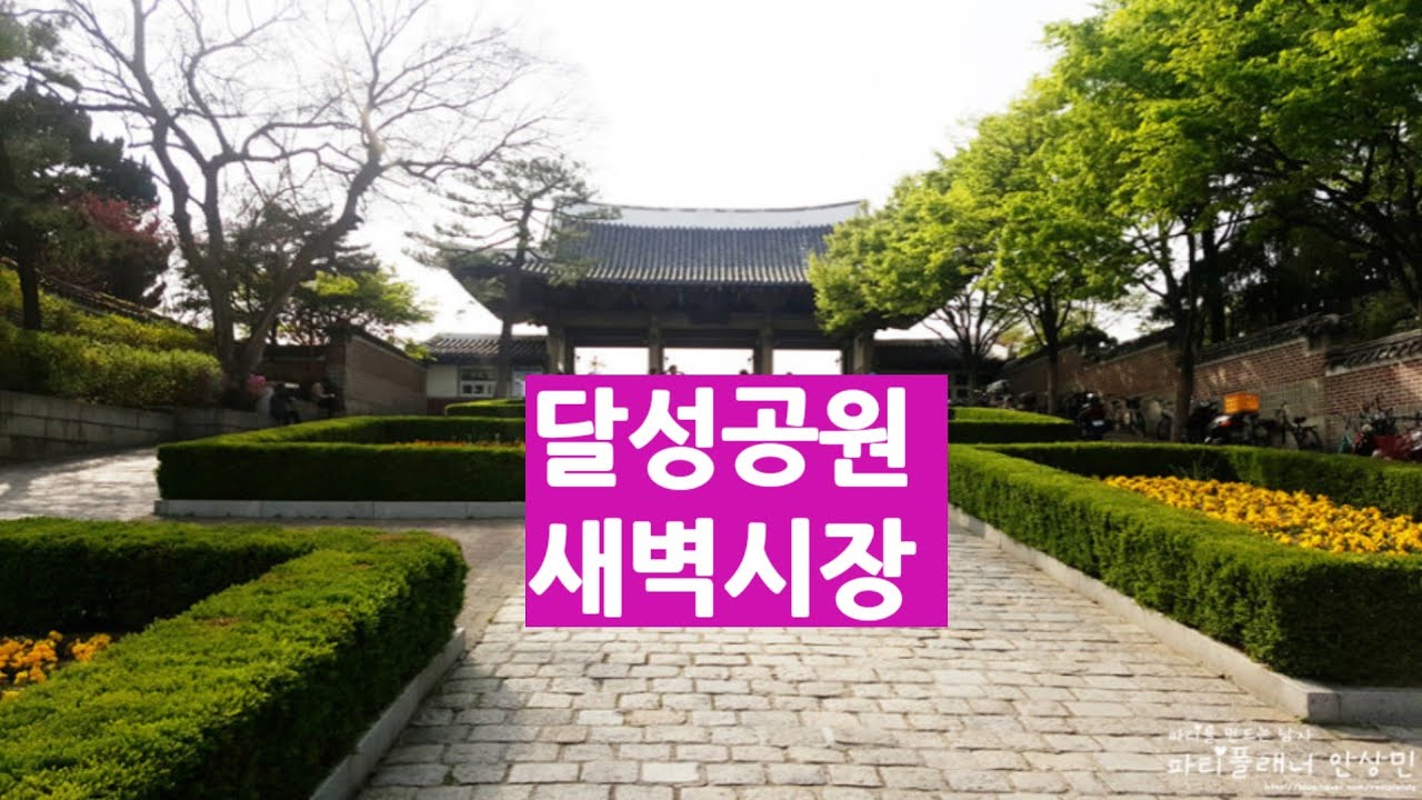 [대구중구노인복지관 시니어기자단]대구명소/ 달성공원 새벽시장(번개)#오뎅500원의행복#노인들의핫플#MZ세대즐겨찾아건강최고
