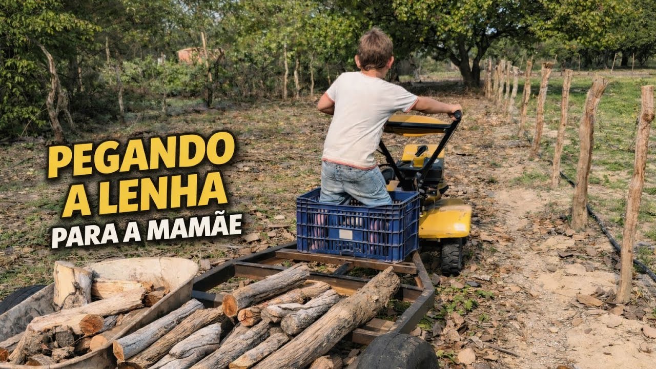 Passando o Conhecimento: O Que a Nova Geração Precisa Aprender Sobre a Vida na Lida