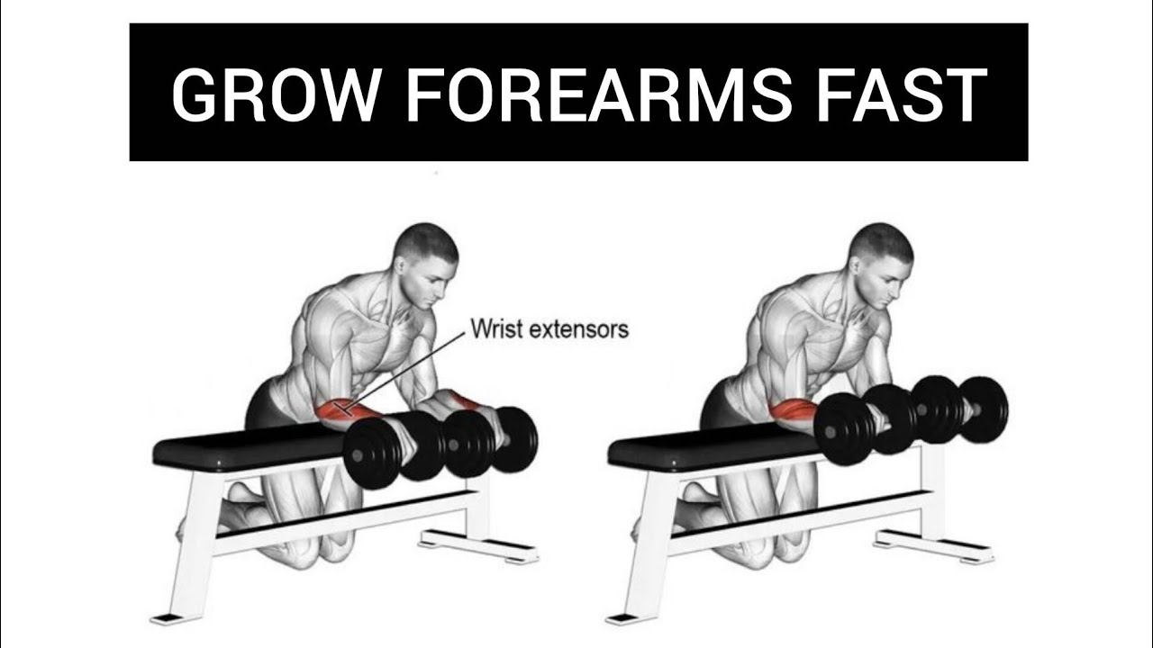 Forearms Workout at Gym | Bigger & Stronger Arms | Wrist & Grip Strength Training