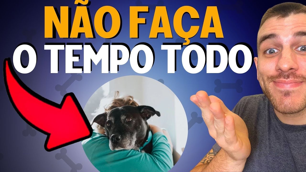 3 Erros Que Você Faz Com Seu Cachorro Todos Os Dias Sem Perceber