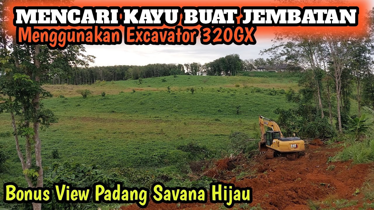 MENCARI KAYU BUAT JEMBATAN MENGGUNAKAN EXCAVATOR 320 BONUS VIEW PADANG SAVANA YQNG INDAH