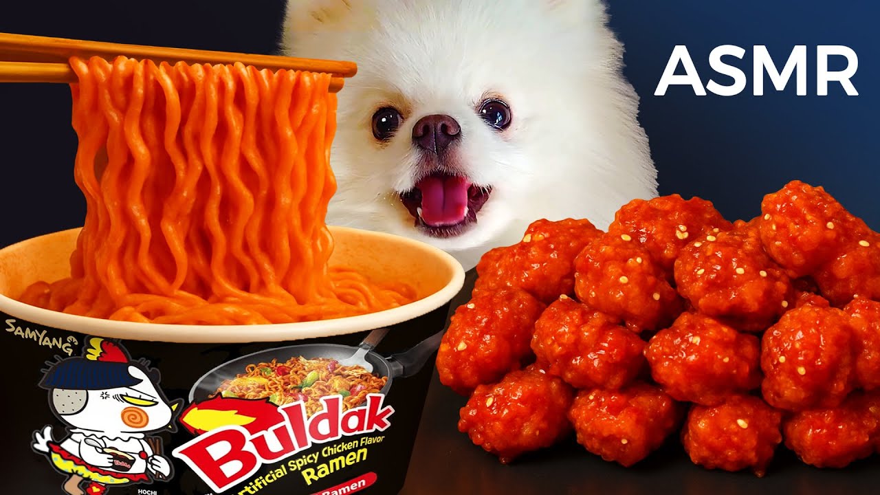 ASMR Mukbang | Yue the Pomeranian Eating Ramen Buldak and Korean Chicken