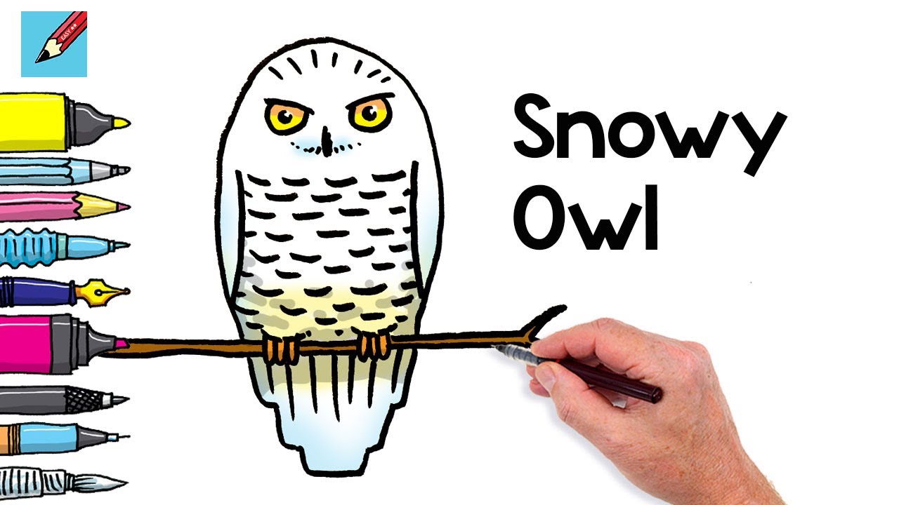How to Draw a Snowy Owl Real Easy