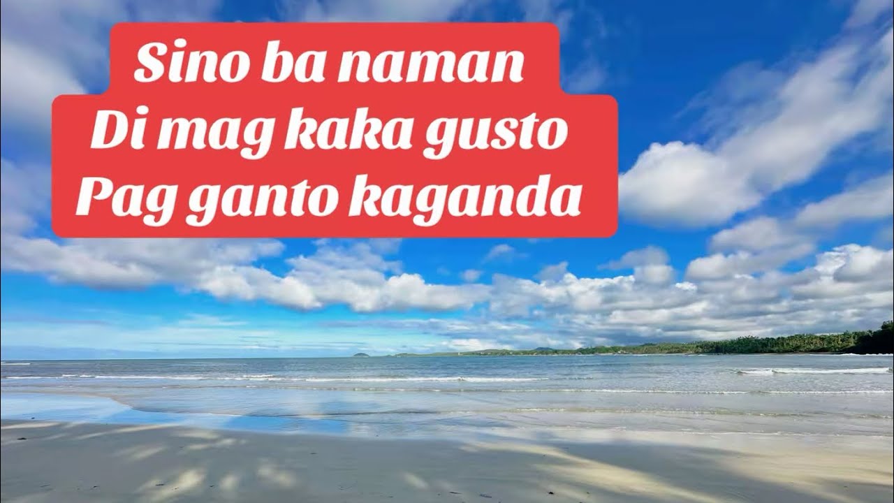 V#201 Beach lot for sale in the Philippines 1000 sqm minimum cut for 1500 per sqm