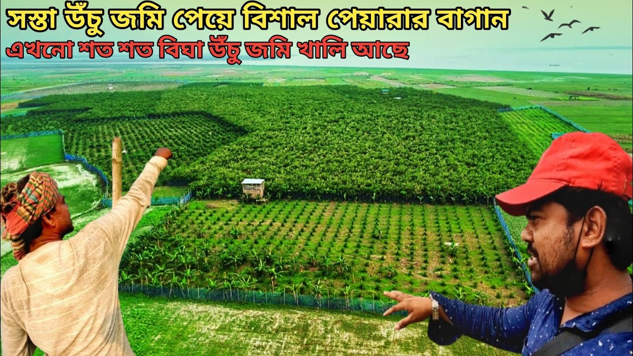 ঢাকার নিকটে এখনো শত শত বিঘা উঁচু জমি খালি আছে বাগান করার মতো মানিকগঞ্জের চরে ||