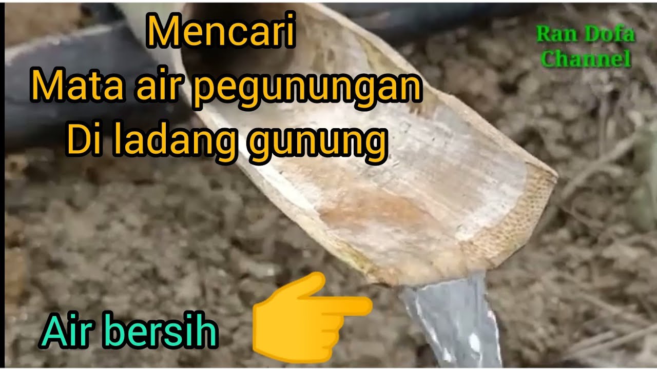 Mencari mata air di pegunungan dengan cara menggali.