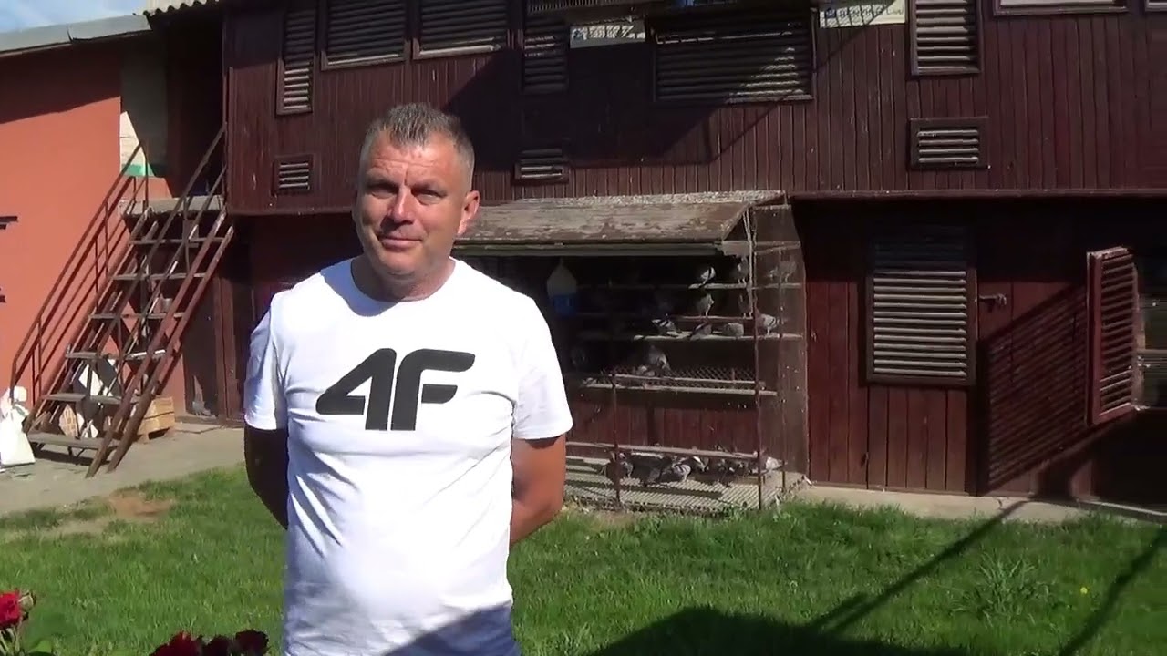 Columbofil dl Sandu Catalin Chitila Ilfov Romania sosire porumbei etapa Adjud 22 mai 2022 part 2
