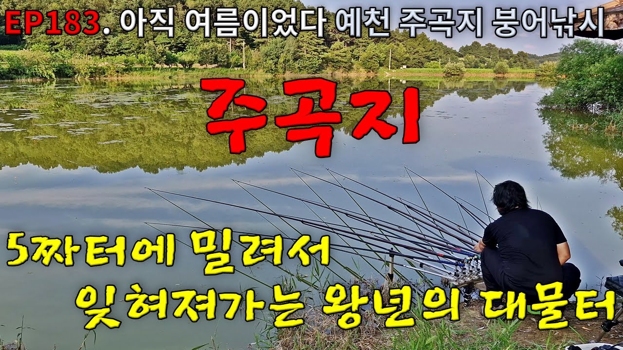 EP183. 아직 여름이었다 | 5짜터들에 밀려 잊혀져가는 왕년의 대물터 | 예천 | 주곡지 | 붕어낚시 | Crucian Carp Fishing
