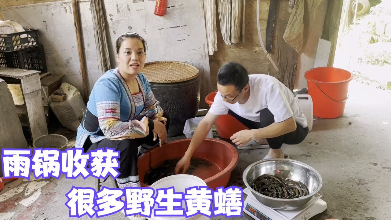 雨锅坚持下地笼，每次收获都不告诉娜姐，攒起来真的是惊喜