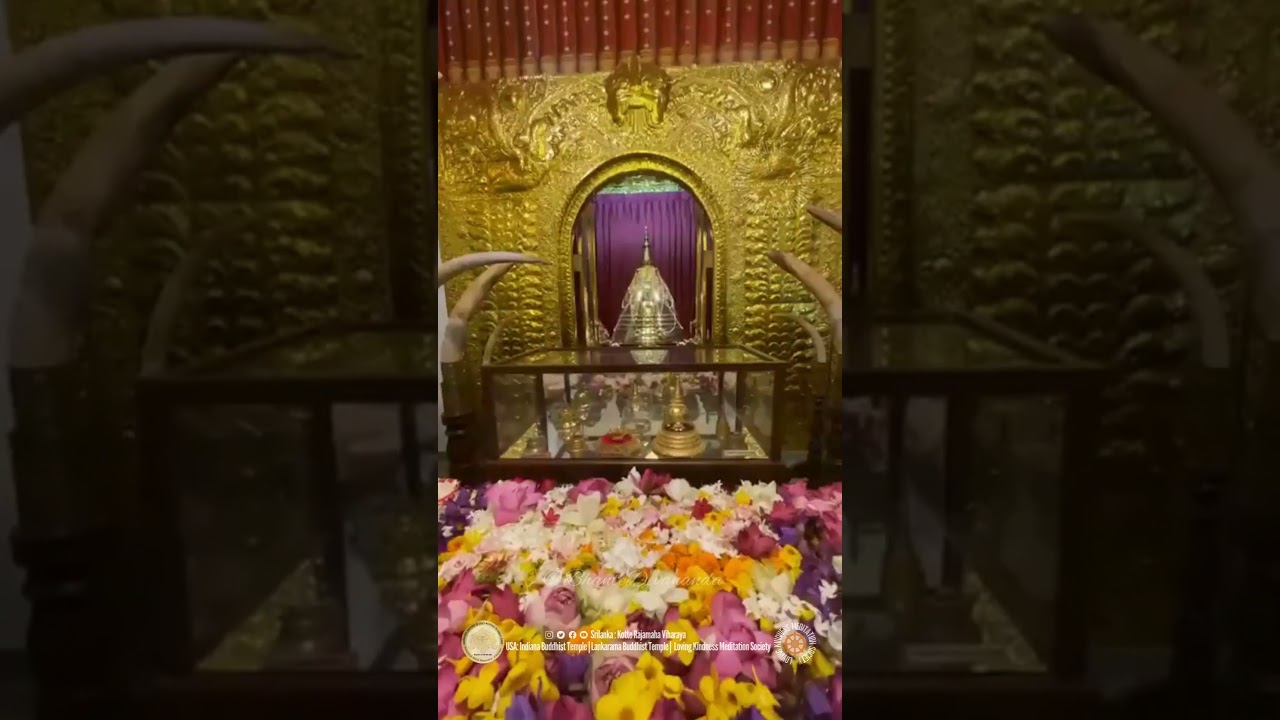 Bhikkhus Grand Ceremony of Sacred Relic Shrine Tower Kotte Rajamaha Vihara Bhante Devananda Srilanka